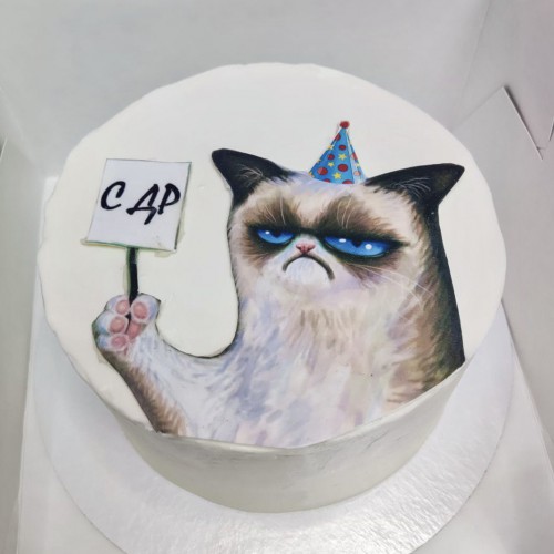 Бенто торт #2607 с картинкой грустного котика 700 г, белый